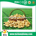 Shandong cacahuetes de origen en shell 30kg / bolsa para la venta con el precio más bajo